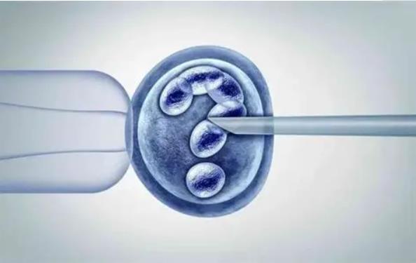 试管配不成胚胎的原因是哪些，与这三个方面有直接关系