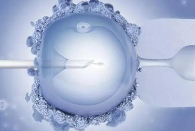 2024银川正规助孕机构冷冻卵子一年费用是多少