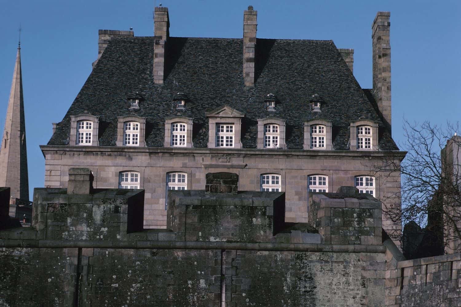 暴风雪中分娩，流浪狗妈妈在雪地里做窝，用自己的身体温暖小狗崽