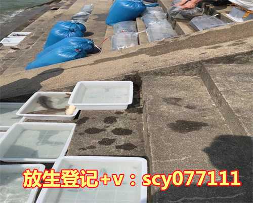 鹿晗 35 岁生日关晓彤零互动！七年情断，股权分割成 BE 导火索？