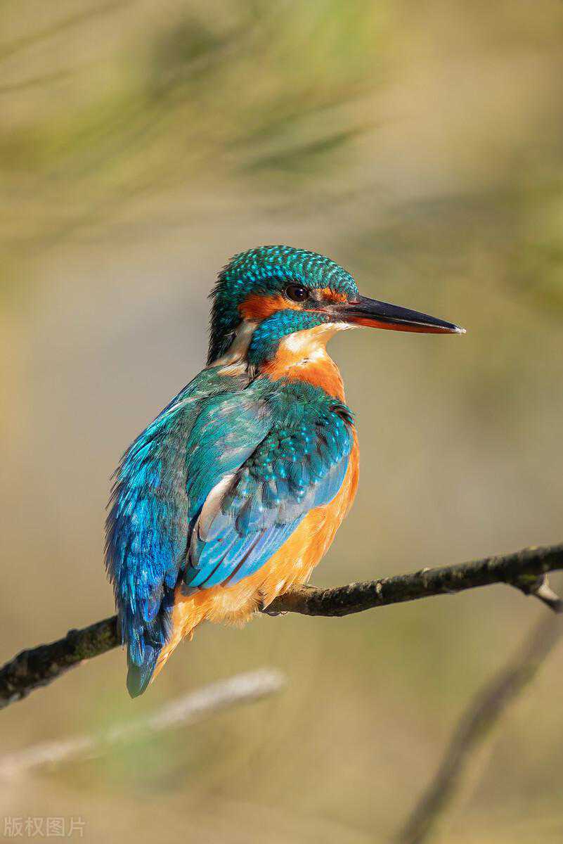 蛇年属马人必看！事业桃花双开挂，避雷指南收好