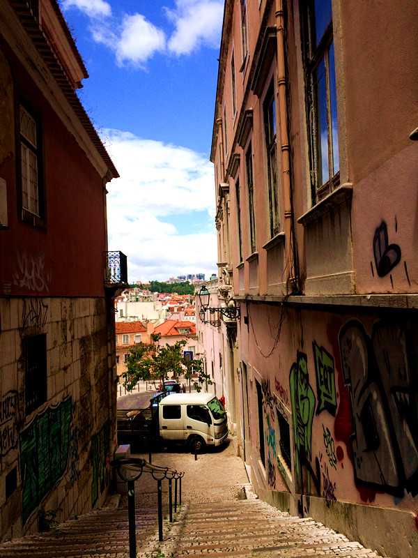 主播苏倩：猜！英语里的鸡年是哪种 “鸡”？