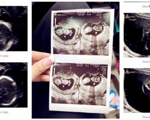 生肖鸡天蝎座：炼金罗盘与暗夜司晨者