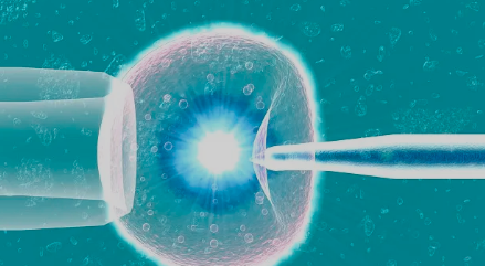 青城外山普照寺：求运势最“灵验”小庙，明星也来拜访，门票免费