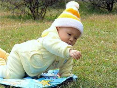 属猪金牛座配对分析