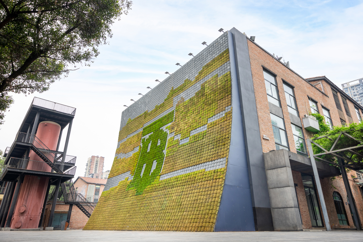 生肖虎，4🈷️不得了，一定要把握好