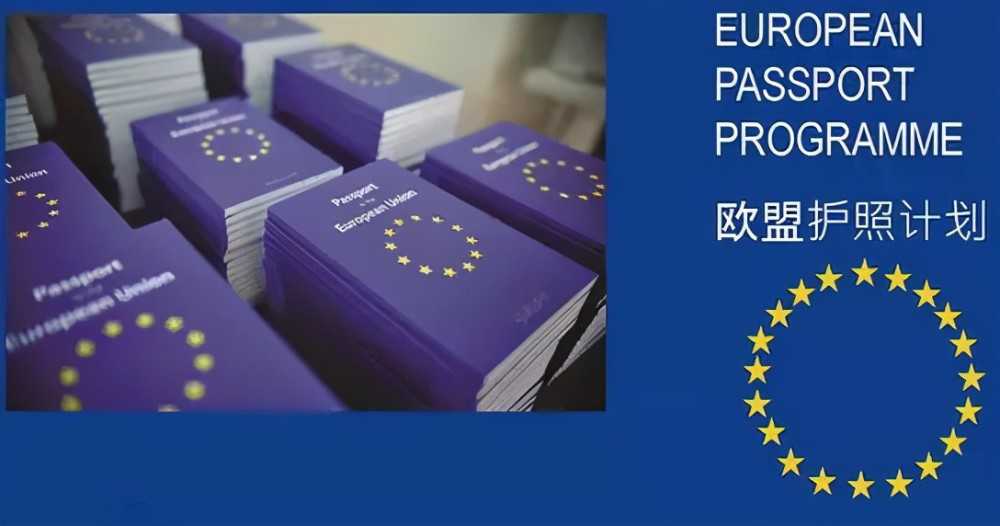 属羊的白羊座的特点