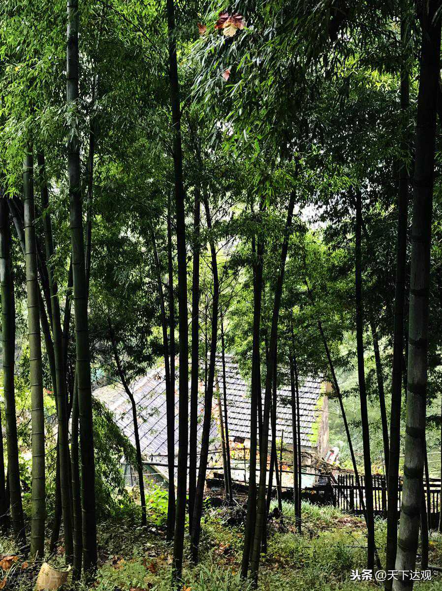 五一假期运势排行！这个星座旅行运最佳，玩得超顺