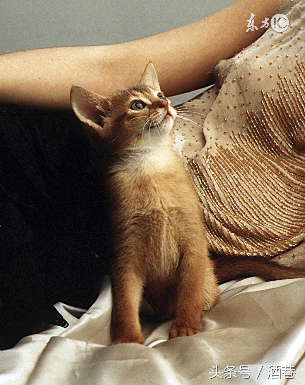 为什么有的人鼻中隔偏曲手术鼻子塌，后遗症多，原因出在哪？