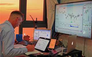 生肖猪今日运势：福猪送瑞，运势全解析