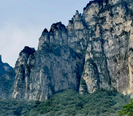 让属狗男难忘的生肖女
