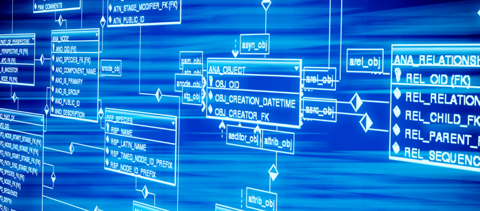 生肖蛇:53水蛇，65火蛇，77土蛇，89木蛇，2025年的综合运势解析