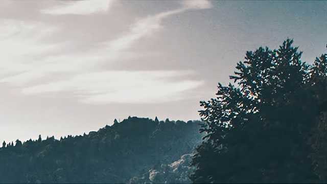 熊神进一周生肖运势（7.20-7.26）