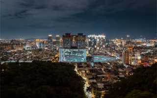 属兔的人在龙年的运势有一定的起伏，以下是具体分析